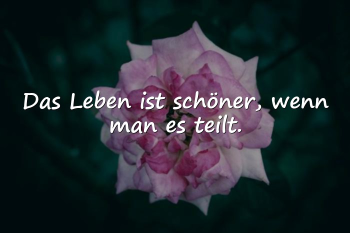 Bilder mit sprüche für das leben - 4