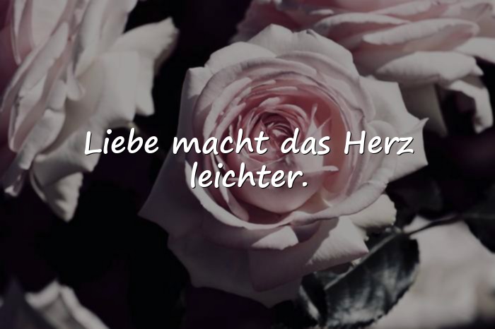 Bilder mit sprüche für die liebe - 1