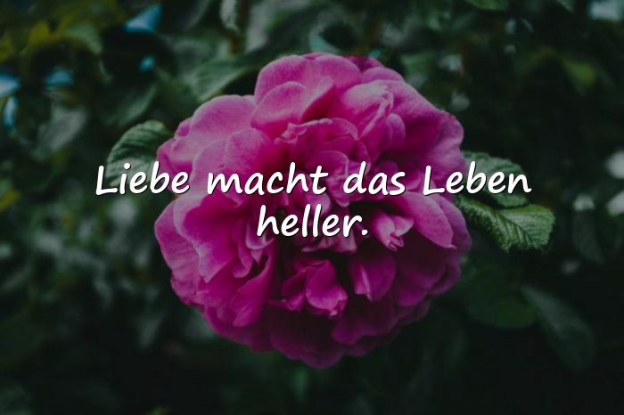 Bilder mit sprüche für die liebe - 22