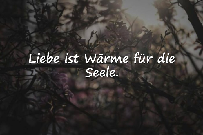 Bilder mit sprüche für die liebe - 15