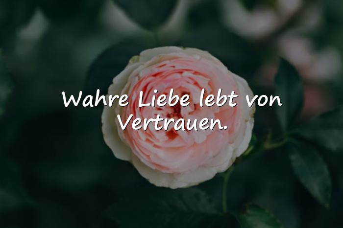 Bilder mit sprüche für die liebe - 5