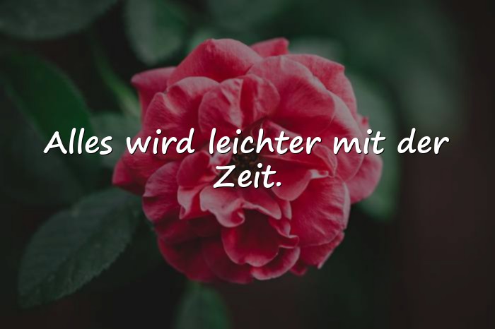 Bilder mit sprüche für die seele - 8