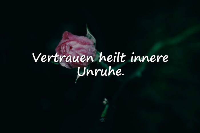 Bilder mit sprüche für die seele - 4