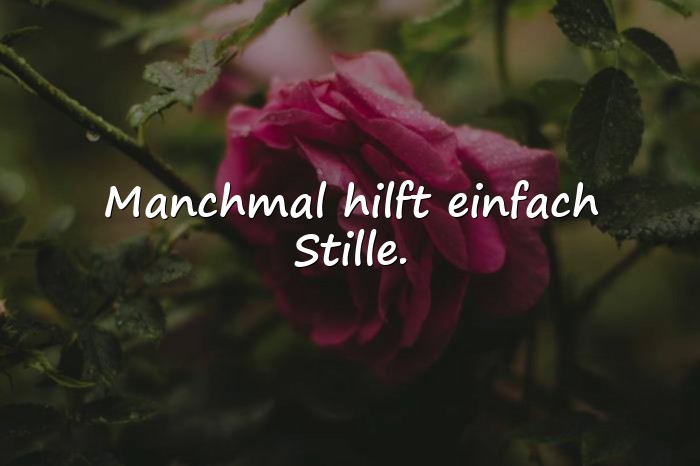 Bilder mit sprüche für die seele - 16