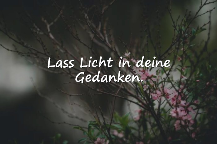 Bilder mit sprüche für die seele - 11