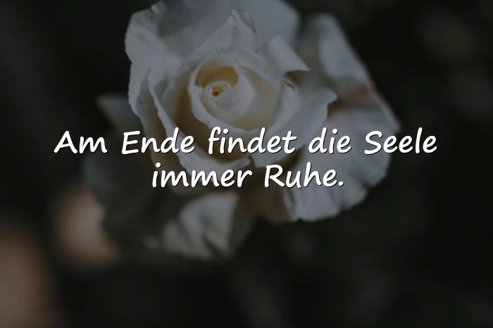 Bilder mit sprüche für die seele - 1