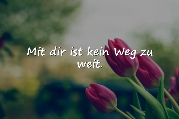Bilder mit sprüche für freundinnen - 21