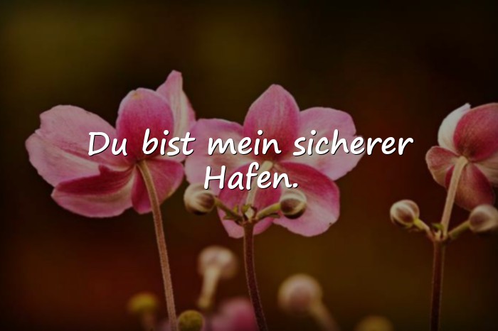 Bilder mit sprüche für freundinnen - 18