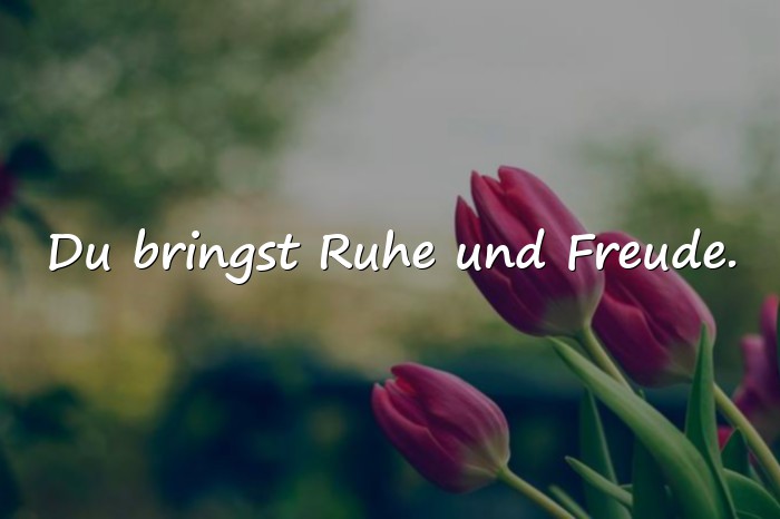 Bilder mit sprüche für liebe menschen - 2