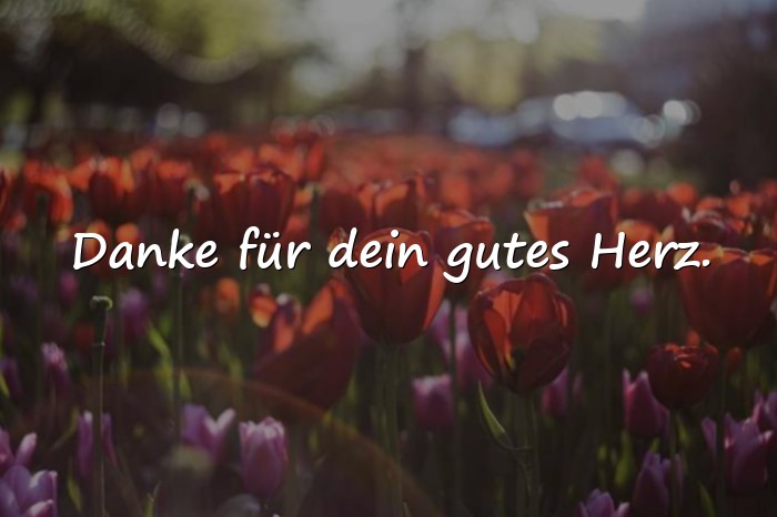 Bilder mit sprüche für liebe menschen - 22