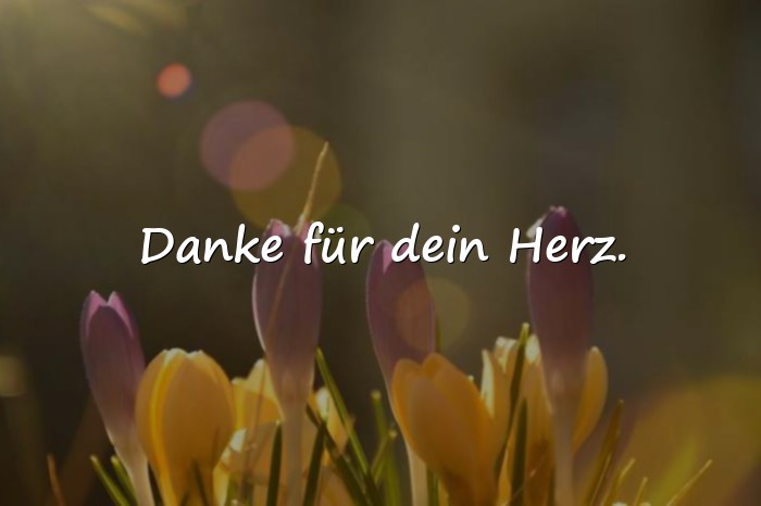 Bilder mit sprüche für liebe menschen - 10