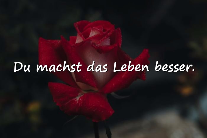 Bilder mit sprüche für liebe menschen - 6