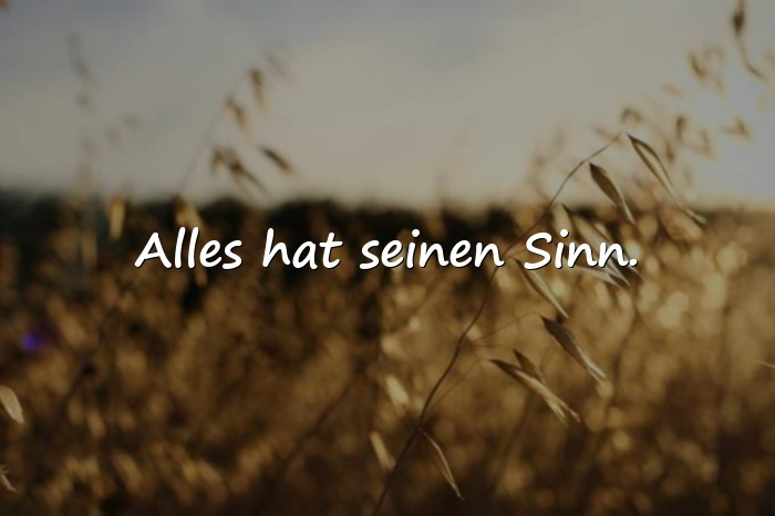 Bilder mit sprüche für status - 3