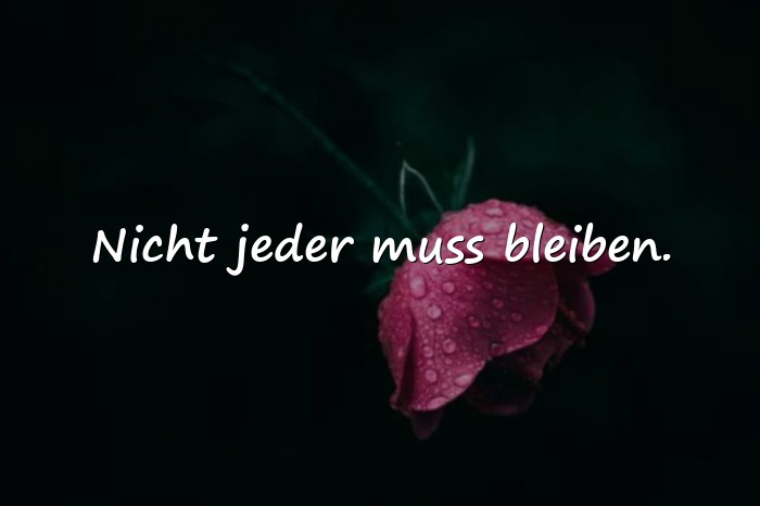 Bilder mit sprüche für status - 8
