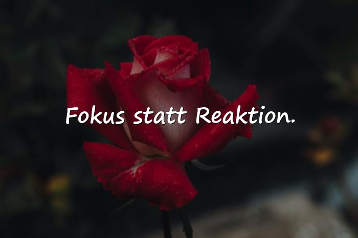 Bilder mit sprüche für status - 10