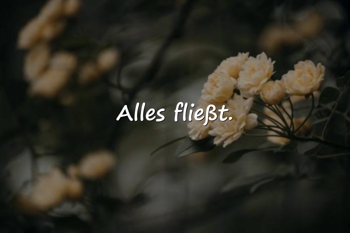Bilder mit sprüche für status - 9