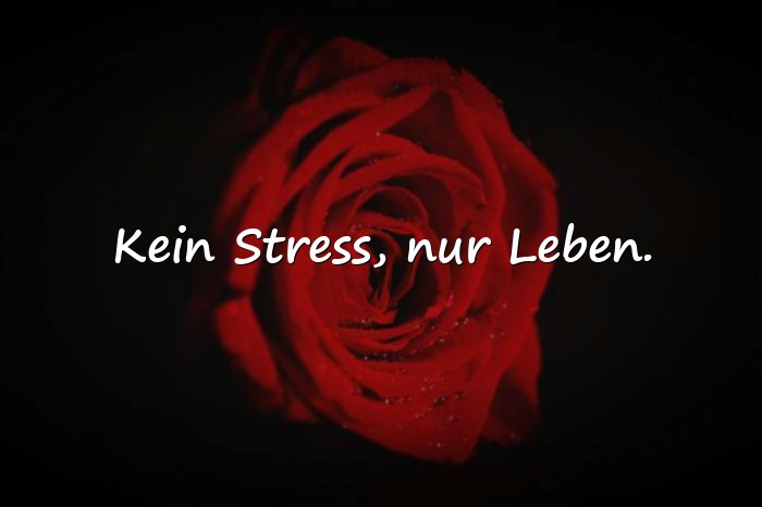 Bilder mit sprüche für status - 8