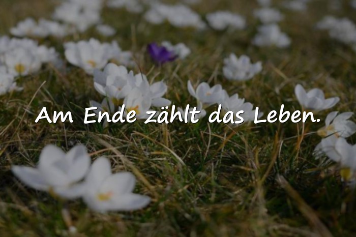 Bilder mit sprüche für status - 6