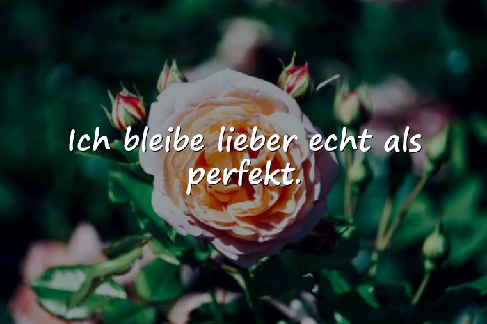 Bilder mit sprüche für whatsapp - 4