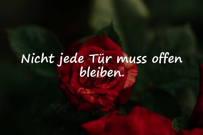 Bilder mit sprüche für whatsapp - 24