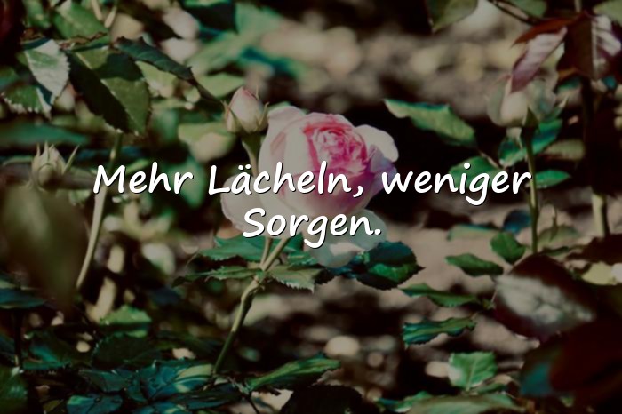 Bilder mit sprüche für whatsapp - 17