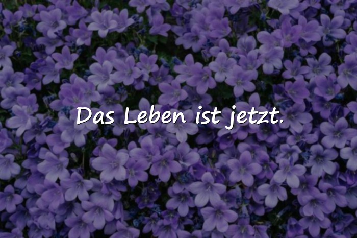 Bilder mit sprüche für whatsapp - 9