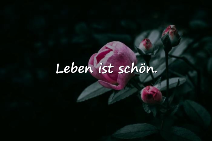 Bilder mit sprüche für whatsapp - 3