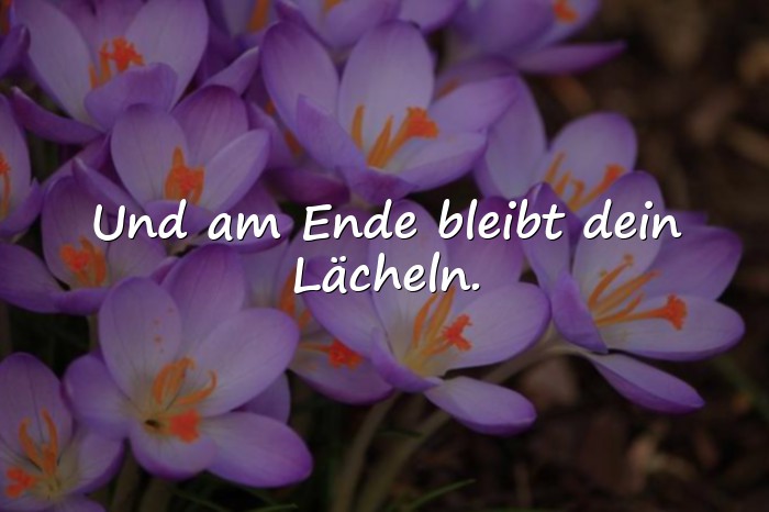 Bilder mit sprüche für whatsapp - 24
