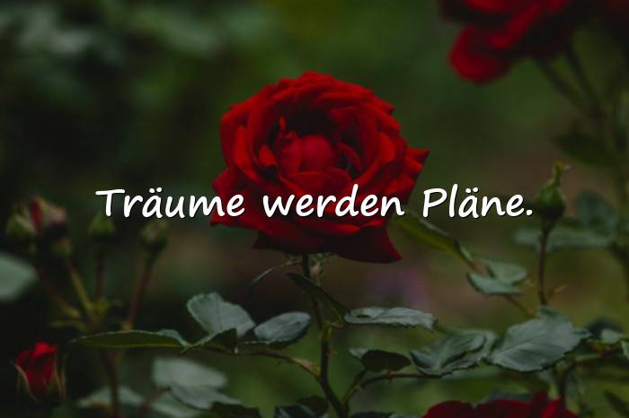 Bilder mit sprüche für whatsapp status - 17
