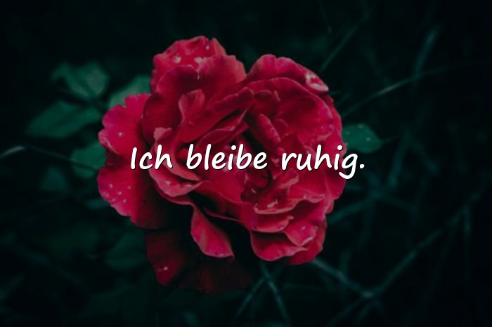 Bilder mit sprüche für whatsapp status - 14
