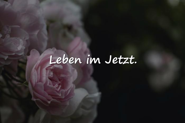 Bilder mit sprüche für whatsapp status - 9