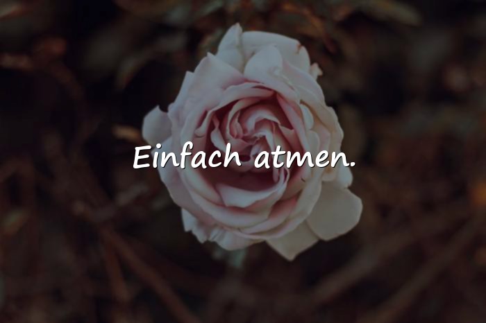 Bilder mit sprüche für whatsapp status - 8