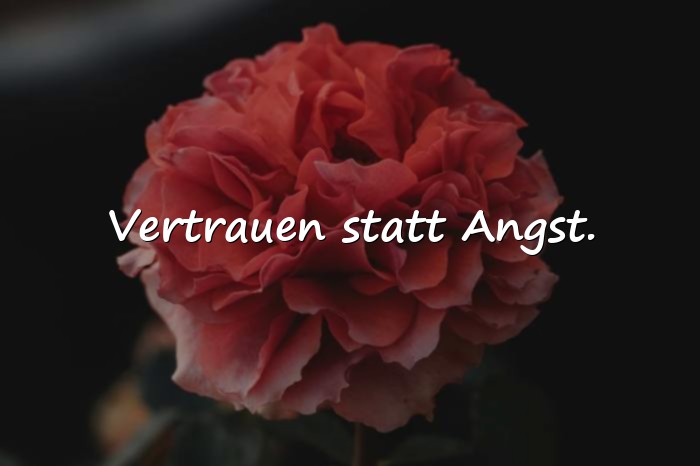 Bilder mit sprüche für whatsapp status - 5