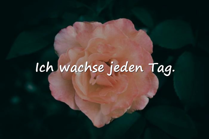 Bilder mit sprüche für whatsapp status - 25
