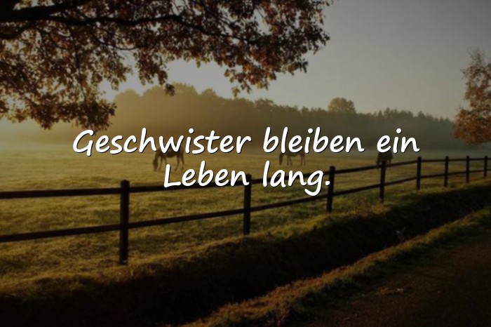 Bilder mit sprüche geschwister - 20