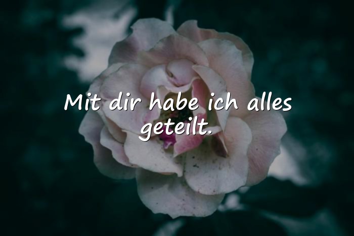 Bilder mit sprüche geschwister - 10