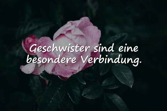 Bilder mit sprüche geschwister - 6