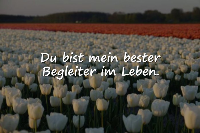 Bilder mit sprüche geschwister - 1