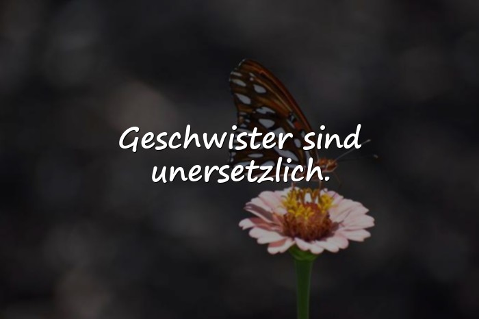 Bilder mit sprüche geschwister - 16