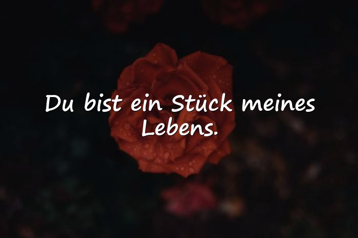 Bilder mit sprüche geschwister - 11
