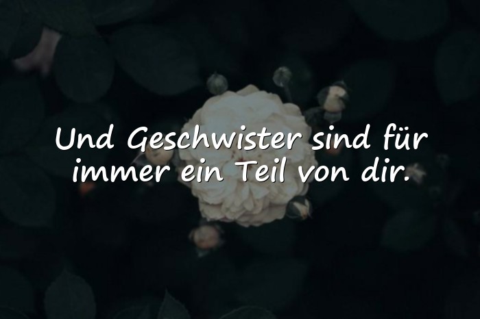 Bilder mit sprüche geschwister - 1