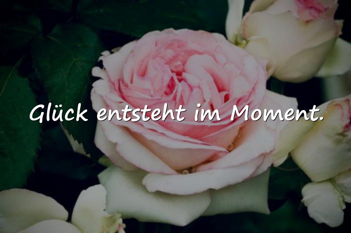 Bilder mit sprüche glück - 20