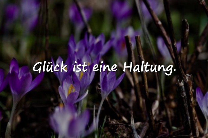 Bilder mit sprüche glück - 14