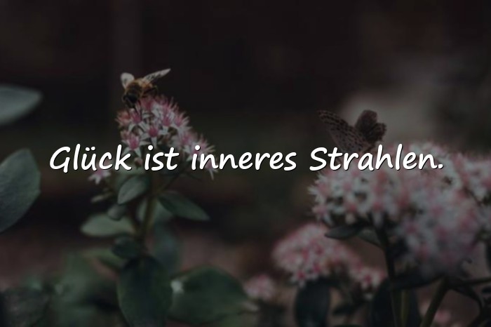 Bilder mit sprüche glück - 10