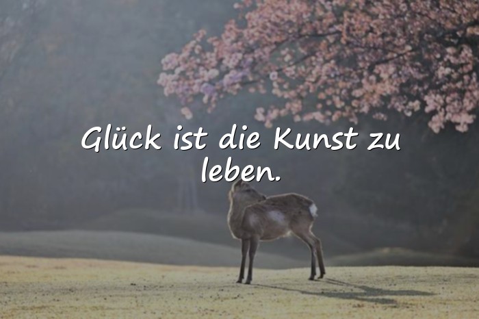 Bilder mit sprüche glück - 3