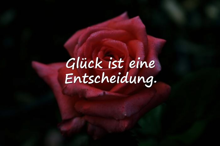 Bilder mit sprüche glücklich - 16