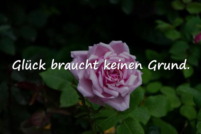 Bilder mit sprüche glücklich - 8