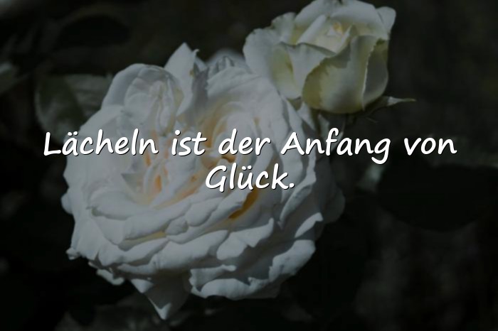 Bilder mit sprüche glücklich - 4