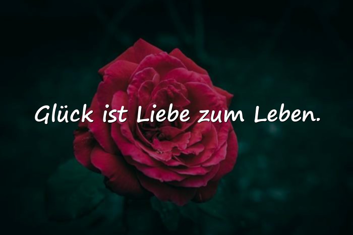 Bilder mit sprüche glücklich - 25