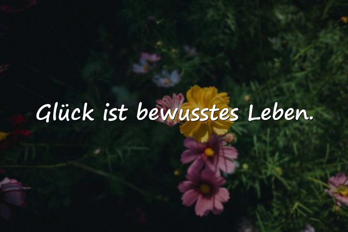 Bilder mit sprüche glücklich - 21